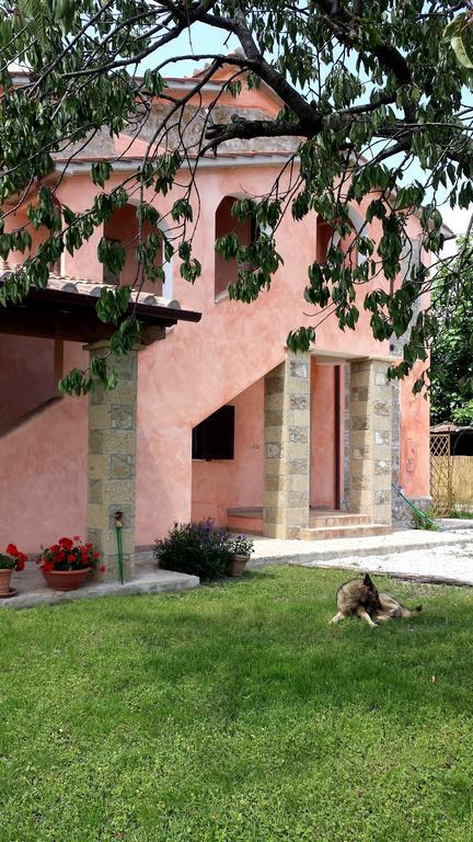 Agriturismo Airone Pitigliano Bagian luar foto